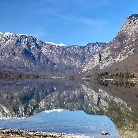 Ferienwohnung Mountain View In Triglav National Park Bohinj Exterior foto