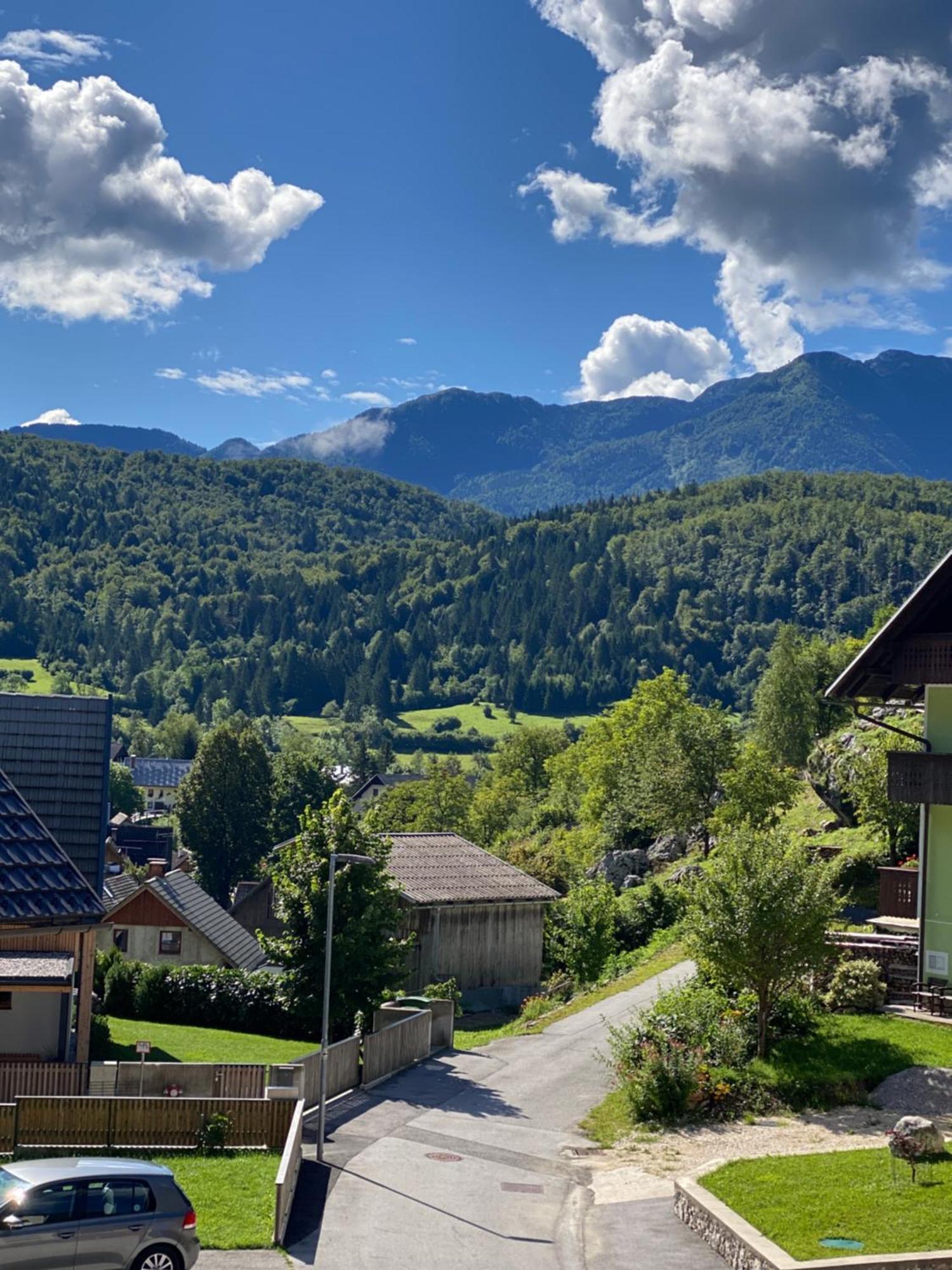 Ferienwohnung Mountain View In Triglav National Park Bohinj Exterior foto