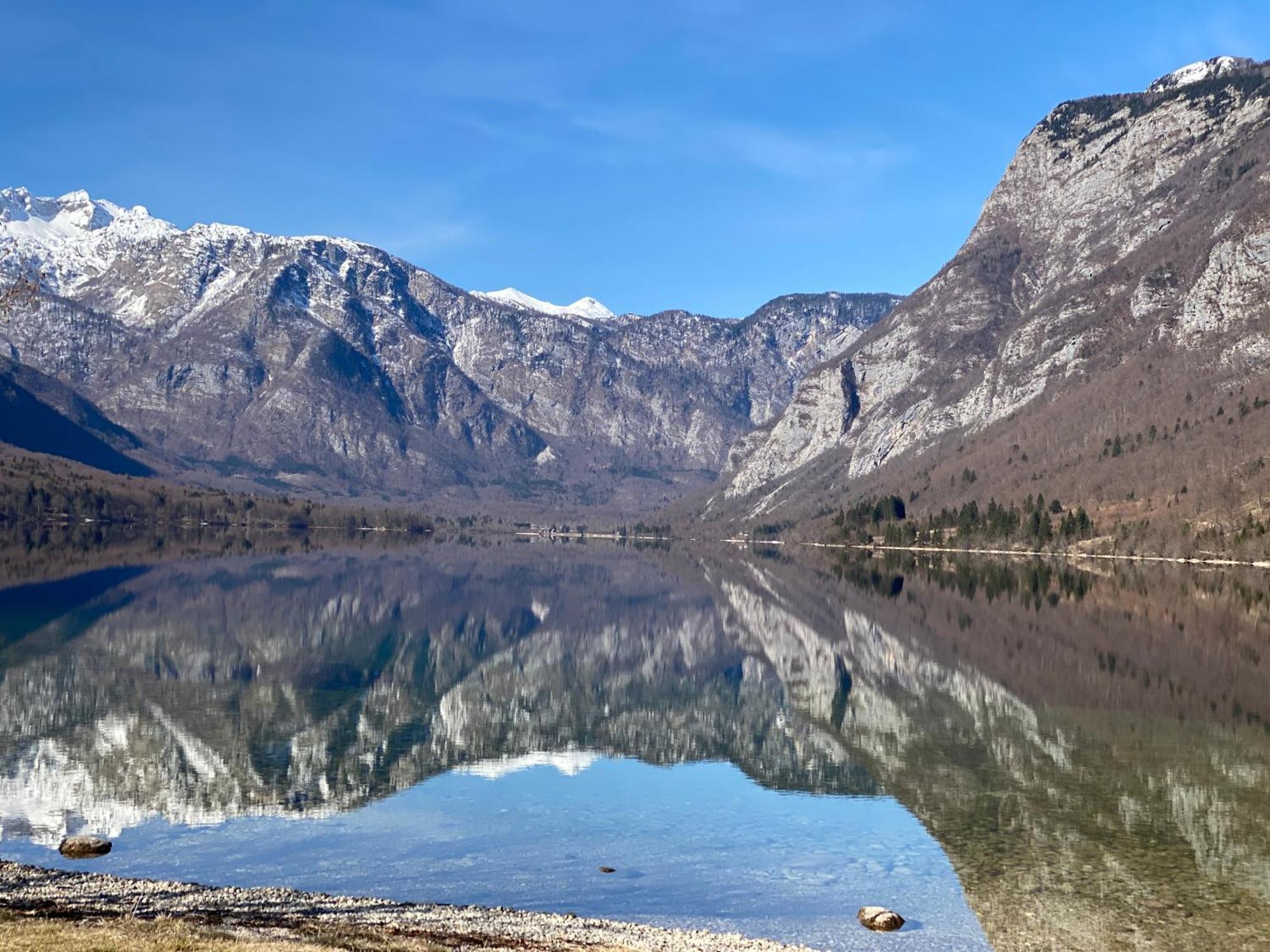 Ferienwohnung Mountain View In Triglav National Park Bohinj Exterior foto